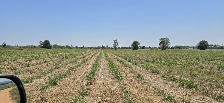 ไม่ใช่ ขายที่ดินสวย ติดถนน 33ไร่ 2 งาน 25.7ตรางวา ไร่ละ 400,000 อ.ชะอำ จ.เพชรบุรีขายยกแปลง 13,2000,000.- รูปที่ 3