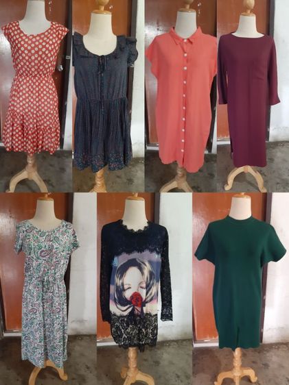 แขนสั้น อื่นๆ ฟรีไซส์ เสื้อเชิ้ตและเสื้อผู้หญิง อื่นๆ เสื้อผ้า