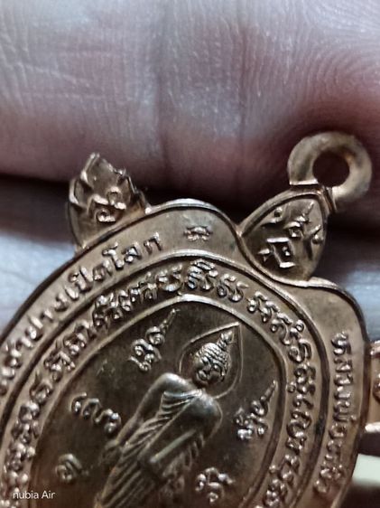 เต่าปู่หลิว เปิดโลก รูปที่ 3