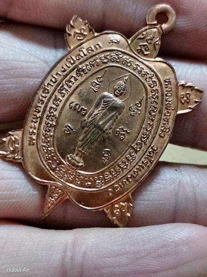 เต่าปู่หลิว เปิดโลก รูปที่ 5