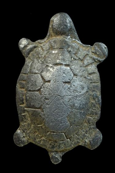 เต่าไม่ทราบที่