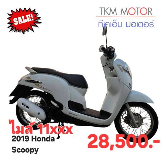 ขายด่วน honda scoopy ปี 2019