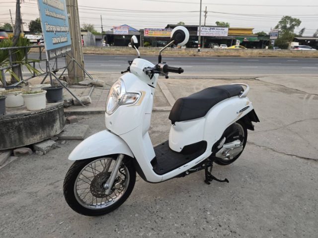 ขายด่วน honda scoopy ปี 2019 รูปที่ 2