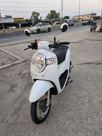 ขายด่วน honda scoopy ปี 2019 รูปที่ 3