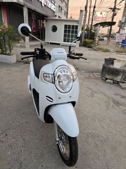 ขายด่วน honda scoopy ปี 2019 รูปที่ 6