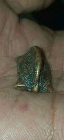 พยาเต่าเรือน หลวงพ่อเงิน วัดบางคลาน ของแท้ ตรอดชีพ รูปที่ 2