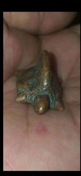 พยาเต่าเรือน หลวงพ่อเงิน วัดบางคลาน ของแท้ ตรอดชีพ