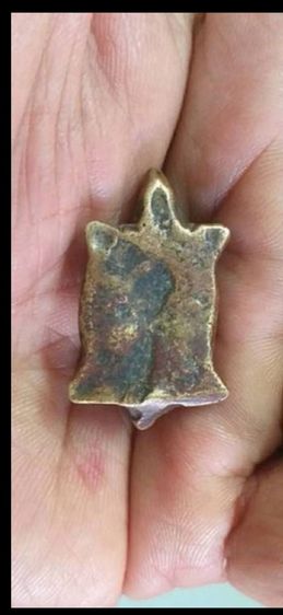 พยาเต่าเรือน หลวงพ่อเงิน วัดบางคลาน ของแท้ ตรอดชีพ รูปที่ 4