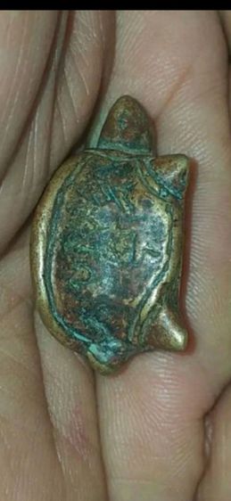 พยาเต่าเรือน หลวงพ่อเงิน วัดบางคลาน ของแท้ ตรอดชีพ รูปที่ 5