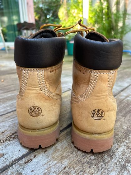 รองเท้า cedar crest รูปที่ 3