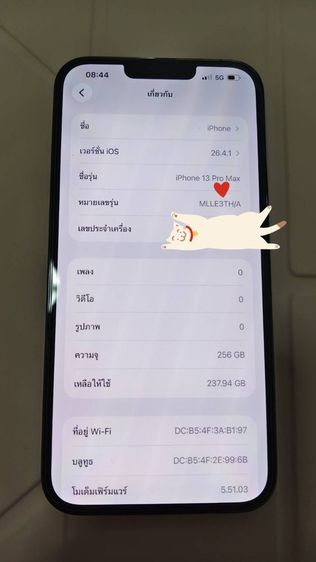 iphone 13 pro max 256 GB