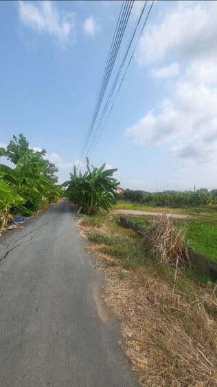 ขายที่ดิน 200 ตรว. ทำเลดี ประชาร่วมใจ ซอย 48-1 ใกล้มัสยิด