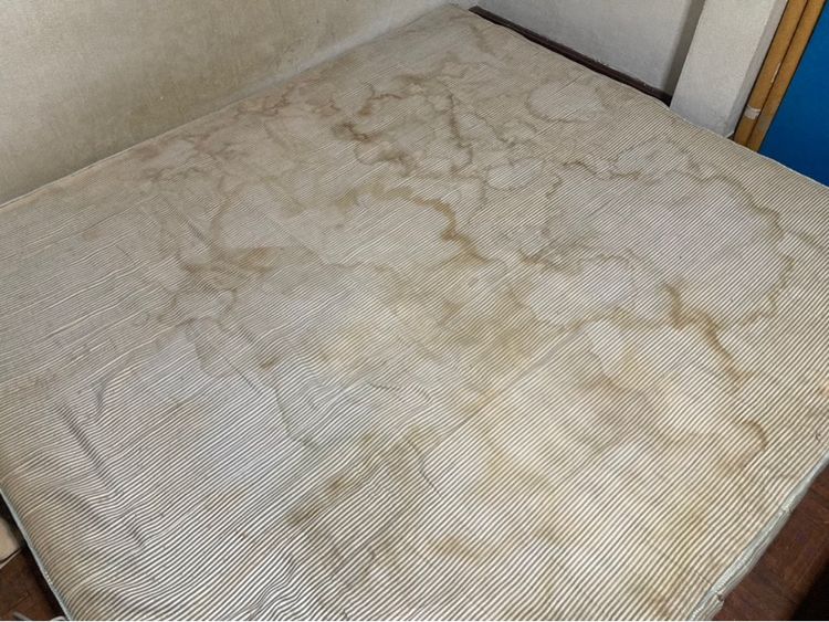 ฟรี ซากที่นอนสปริง 6 ฟุต