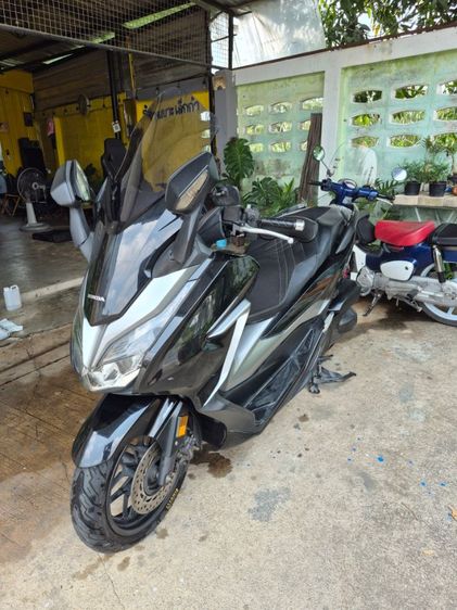 forza300y2018 รูปที่ 3