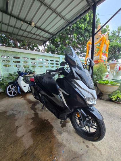 forza300y2018 รูปที่ 2