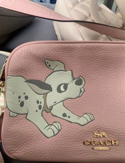 Coach Limited  รูปที่ 3