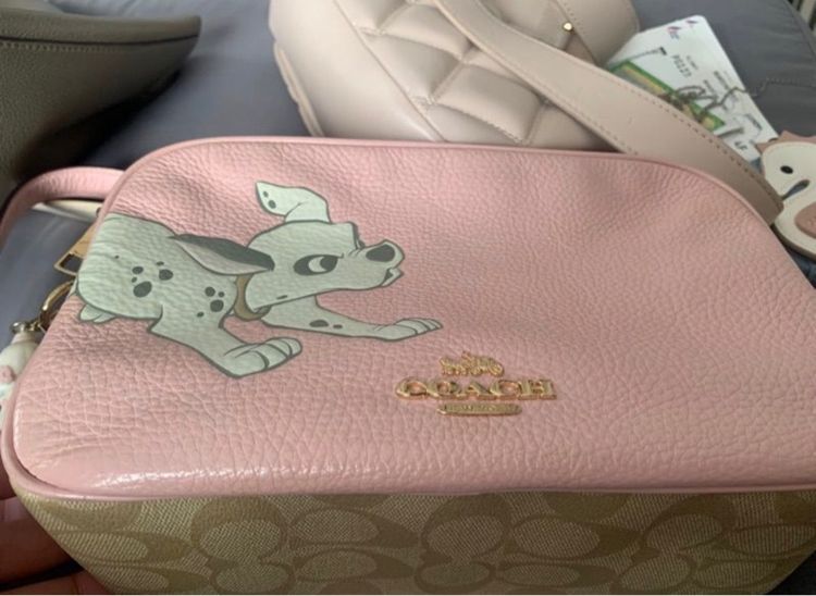 Coach Limited  รูปที่ 2