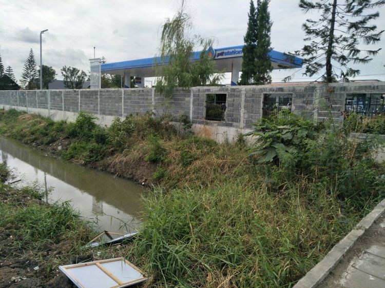 ขายด่วนที่ดินคลองห้า ติดถนนแปลงใหญ่ รูปที่ 4