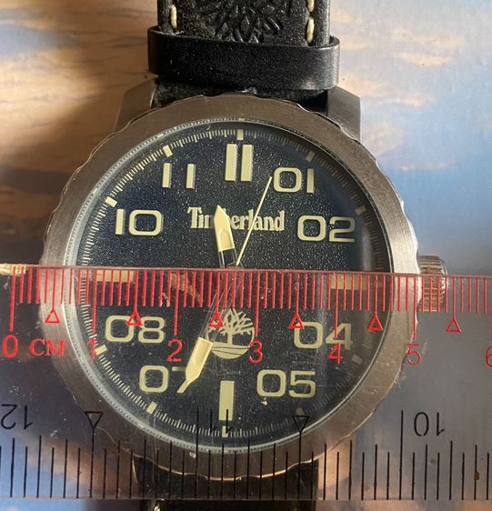 ขานนาฬิกา TIMBERLAND TBL.15377JS02 รูปที่ 2