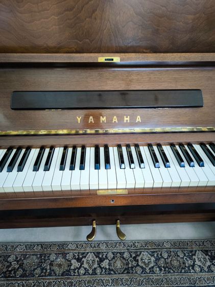 เปรยโน Yamaha U3  รูปที่ 2