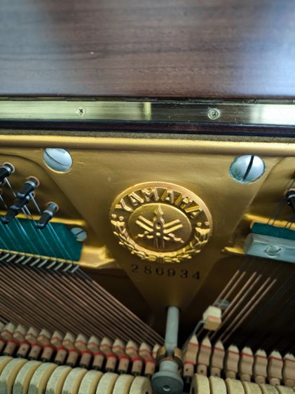 เปรยโน Yamaha U3  รูปที่ 6