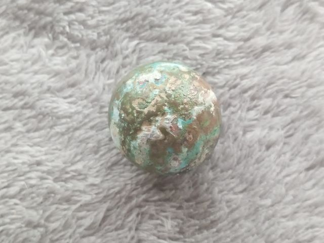 ปรอทกรอ (ตัวเมีย) รูปที่ 4