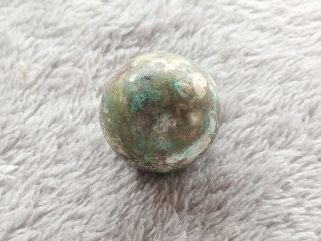 ปรอทกรอ (ตัวเมีย) รูปที่ 3