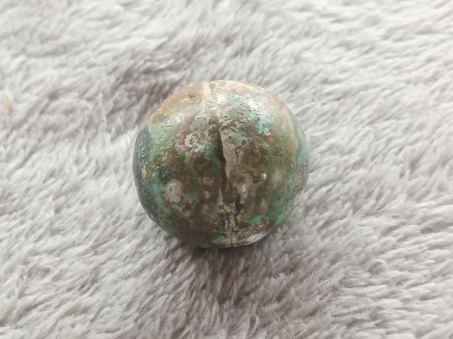 ปรอทกรอ (ตัวเมีย) รูปที่ 2