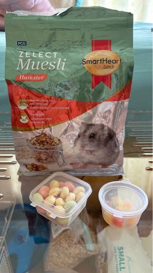 กรงอะคริลิคพร้อมอุปกรณ์และอาหารสำหรับแฮมส์เตอร์ รูปที่ 6