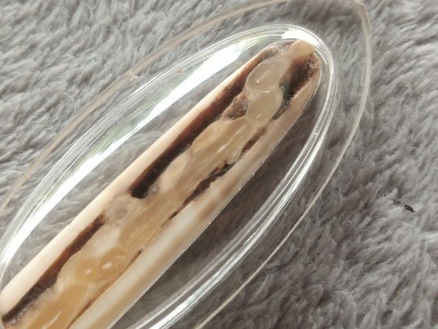 คต งอก (พร้อมเลี่ยม) รูปที่ 5