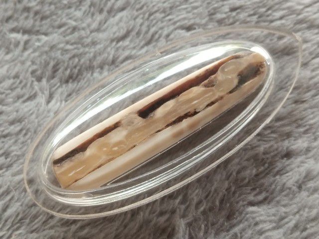 คต งอก (พร้อมเลี่ยม) รูปที่ 3