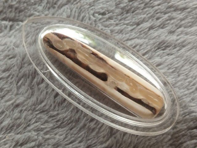 คต งอก (พร้อมเลี่ยม) รูปที่ 2