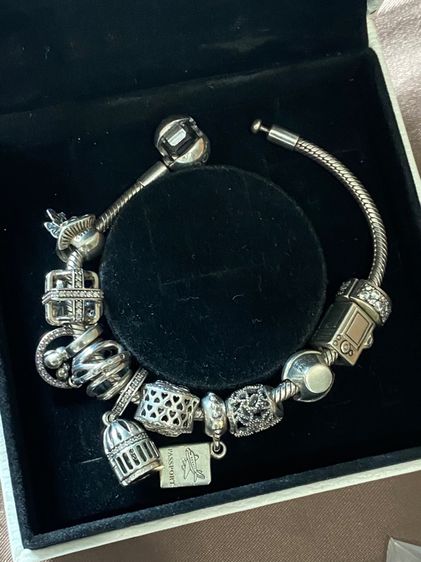 อื่นๆ สร้อยข้อมือ pandora