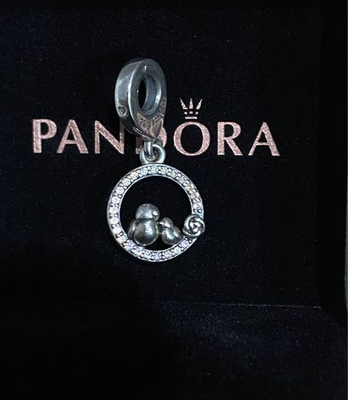 pandora รูปที่ 5