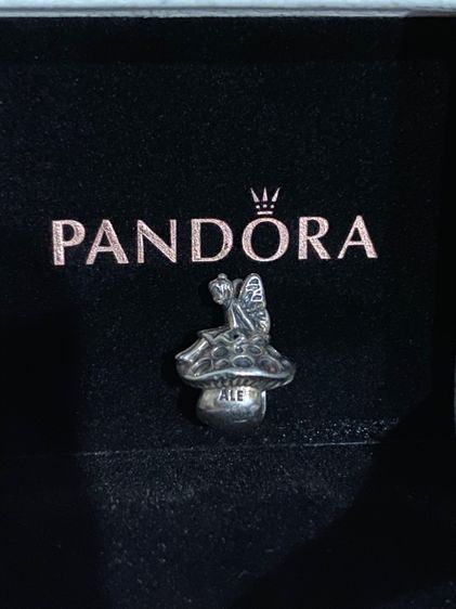 pandora รูปที่ 3