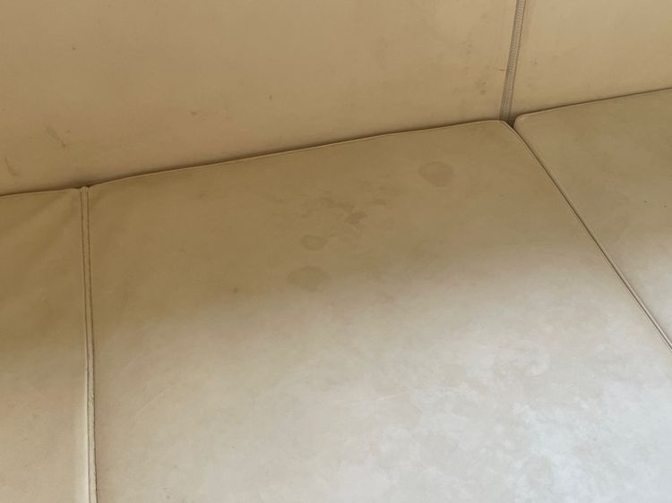 Gekko Playpen รูปที่ 14