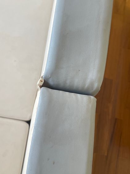 Gekko Playpen รูปที่ 16