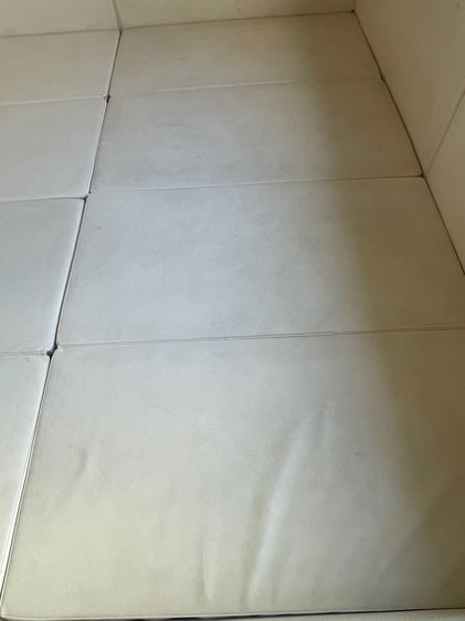 Gekko Playpen รูปที่ 7