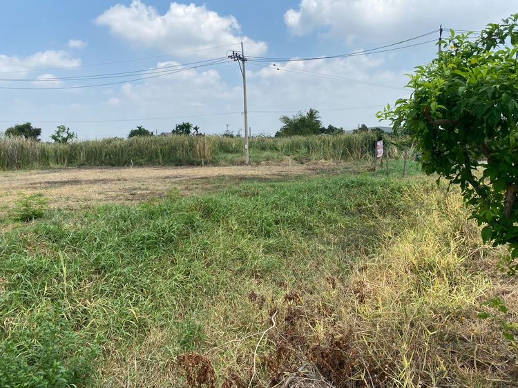 ขายหรือปล่อยเช่าที่เปล่าติดถนนใหญ่  รูปที่ 3