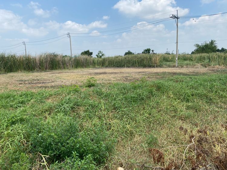 ขายหรือปล่อยเช่าที่เปล่าติดถนนใหญ่  รูปที่ 2