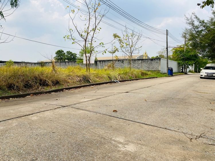 ใช่ ขายด่วนขายถูกที่ดิน คลองสาม คลองหลวง วา6200บาท รูปที่ 3