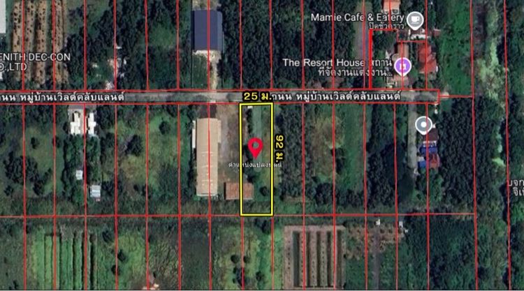 ใช่ ขายด่วนขายถูกที่ดิน คลองสาม คลองหลวง วา6200บาท รูปที่ 4