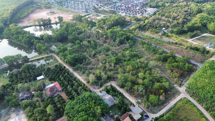 ใช่ ทีดินทำเลสวย เหมาะกับนักพัฒนา ต.ท่าช้าง อ.เมือง จ.จันทบุรี รูปที่ 4