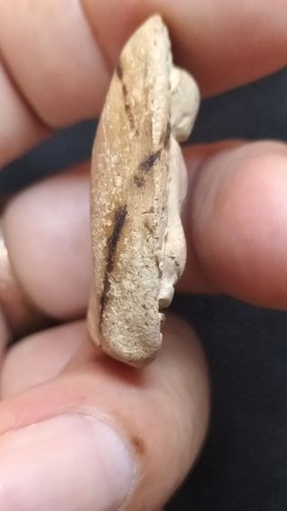 พระคงลำพูน รูปที่ 9