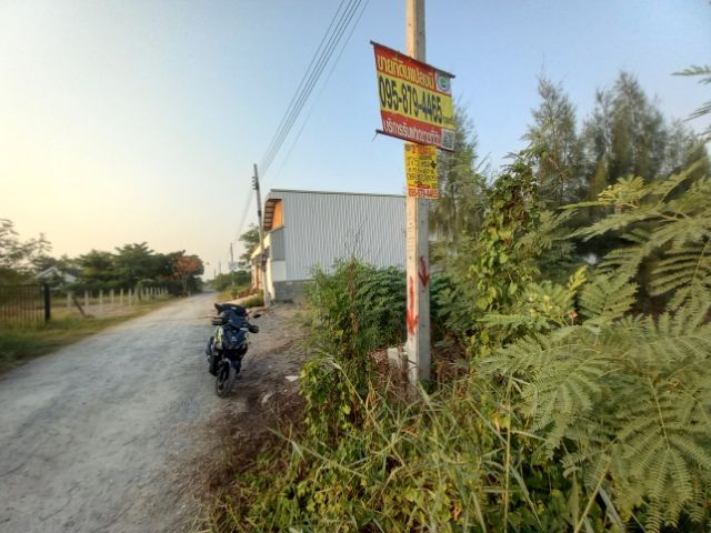 ใช่ ขายที่โฉนดครุฑแดง 175 ตรว.(แถมอีก 10-15 ตรว.) ถนนเคหะ-บ้านใหม่ ซ.27 บางใหญ่ นนทบุรี ราคา 1,750,000 บาทสนใจโทร. 081 - 2348835 , 092 - 9269492 รูปที่ 3