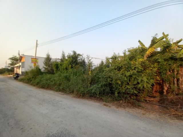 ขายที่โฉนดครุฑแดง 175 ตรว.(แถมอีก 10-15 ตรว.) ถนนเคหะ-บ้านใหม่ ซ.27 บางใหญ่ นนทบุรี ราคา 1,750,000 บาทสนใจโทร. 081 - 2348835 , 092 - 9269492