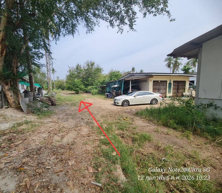 ขายที่ดิน ถูกๆ 10 ไร่ ห่างถนนเพชรเกษม 300 เมตร เป็นสวนมะพร้าว รูปที่ 4