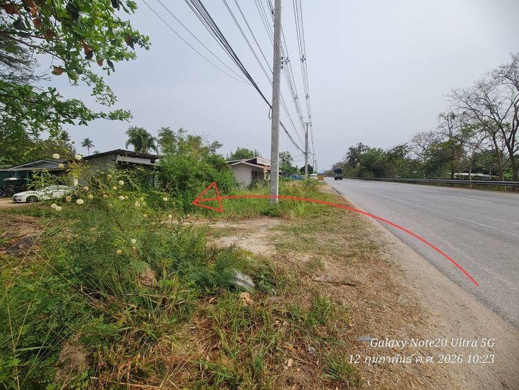 ขายที่ดิน ถูกๆ 10 ไร่ ห่างถนนเพชรเกษม 300 เมตร เป็นสวนมะพร้าว รูปที่ 3