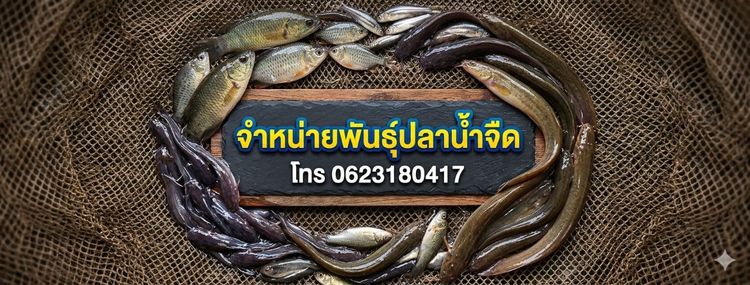 ลูกปลาน้ำจืด รูปที่ 9
