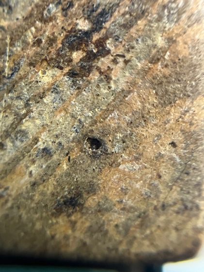 ซุ้มกอ องค์เนื้อเดียวกับที่โชว์ใน นสพ. รูปที่ 9